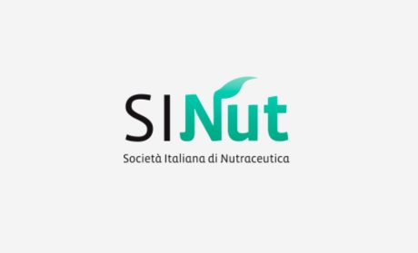 SINUT _logo